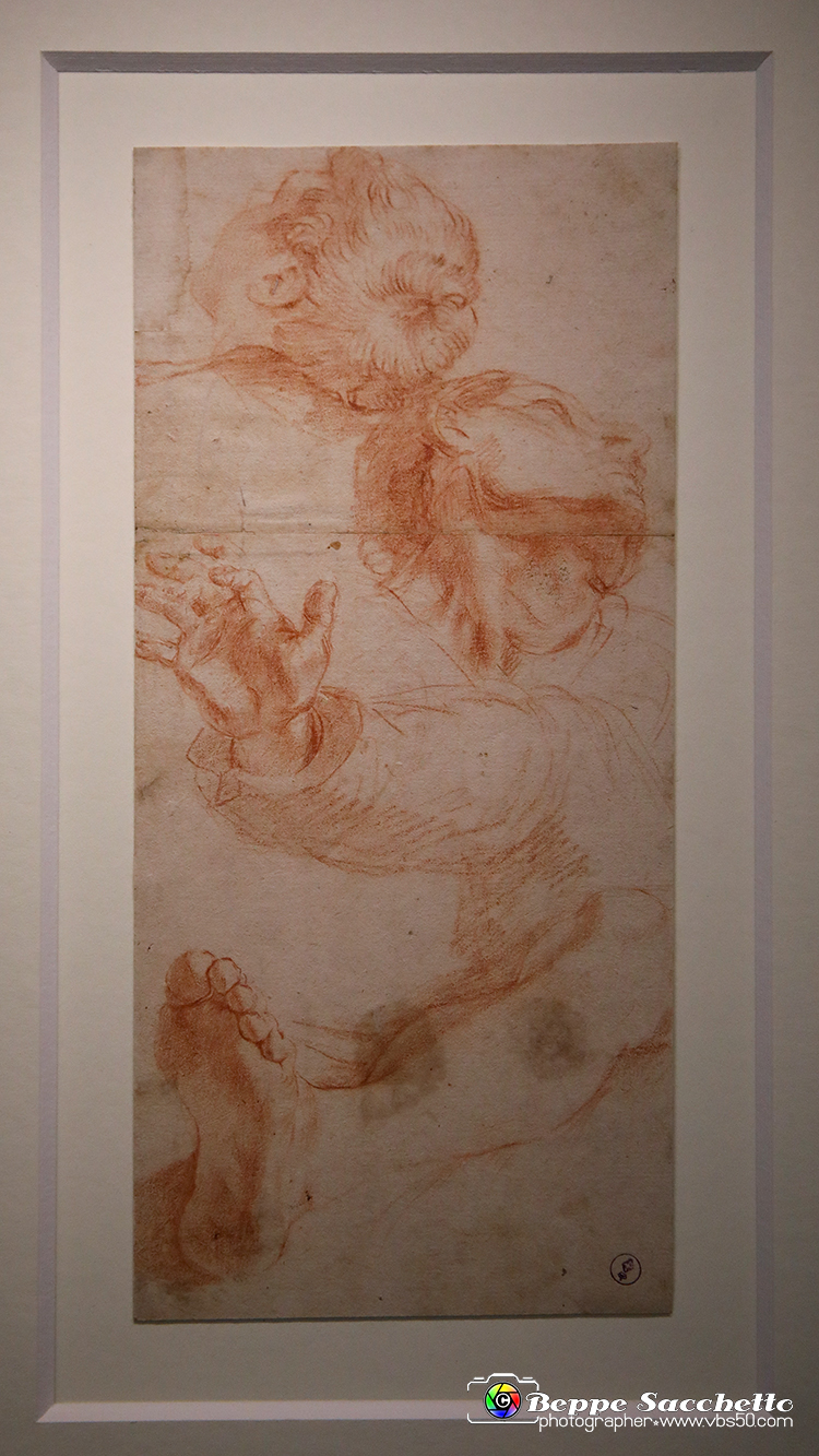 VBS_0034 - Mostra Nel segno di Raffaello.jpg